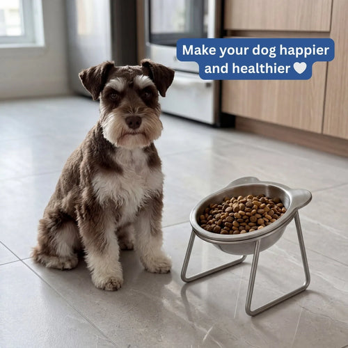 Gamelle Ergonomique Inclinée pour Chien et  Chat