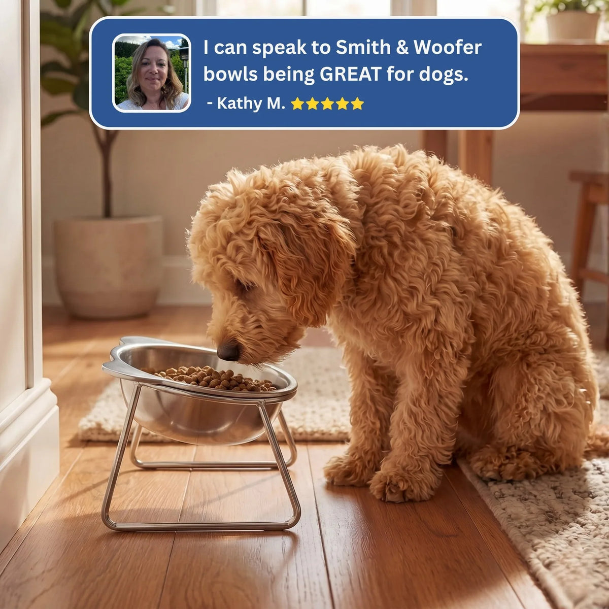 Gamelle Ergonomique Inclinée pour Chien et  Chat