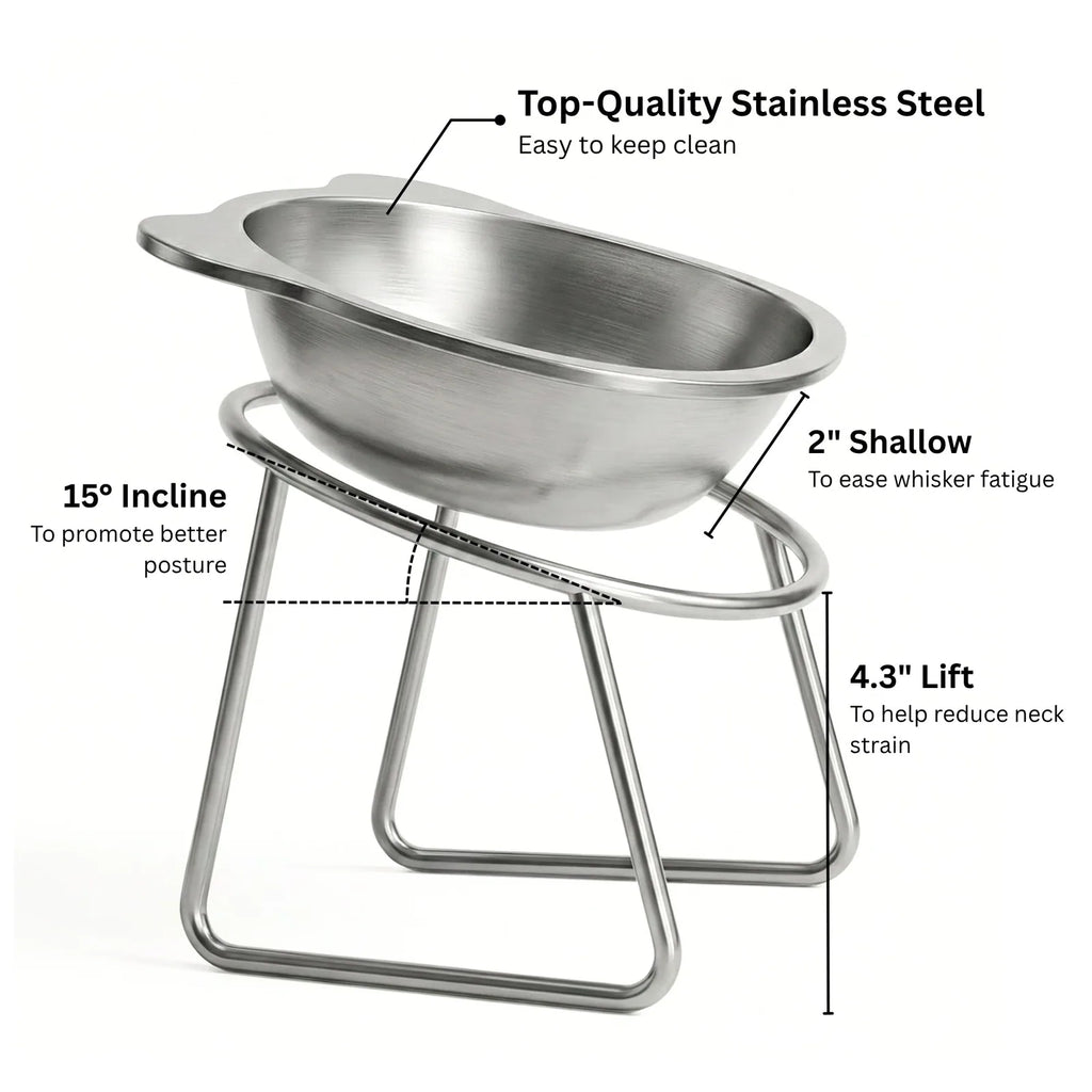 Gamelle Ergonomique Inclinée pour Chien et  Chat