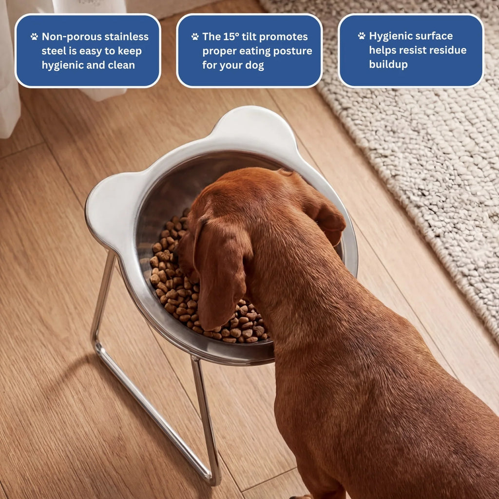 Gamelle Ergonomique Inclinée pour Chien et  Chat
